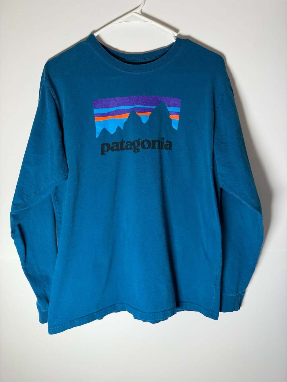Patagonia Men's Long-Sleeve Fitz Roy Foothills T-Shirt M Blue